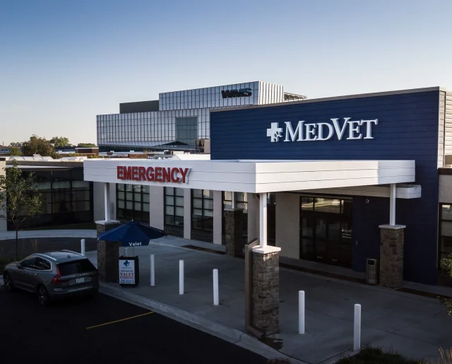 MedVet Chicago Medical and Cancer Center for Pets