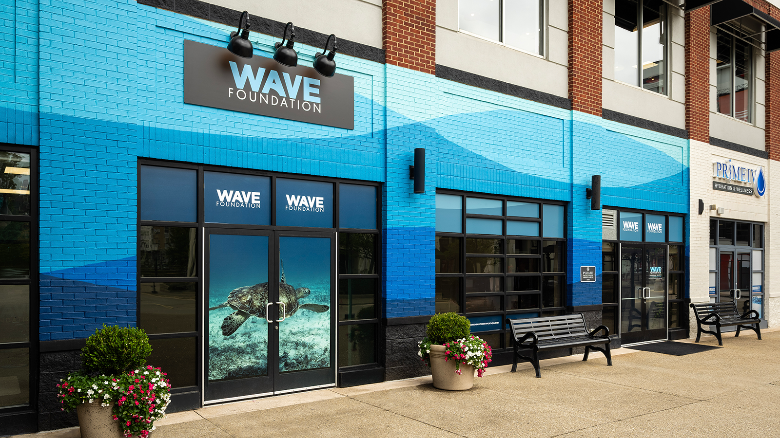 Image of the WAVE Foundation office exterior. It's painted with a mural of many shades of blue looking like waves.